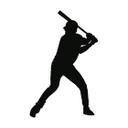 Baseball 04