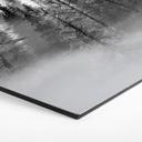 Hexagon Dibond Xu - Foggy Forest