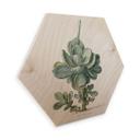 Hexagon Hout Saftleven - Vetplant