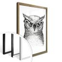 Affiche Kvilis - Le petit hibou