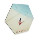 Hexagon - Alu-Dibond - Rivers - Hawaii
