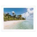 Póster Palm Beach en los Mares del Sur - Colombo