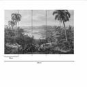 Fototapet JungleVintage2 i gråsort - non-woven tapet Designwalls 2 - 2,55 x 3,5 m