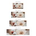 Salpicadero de cocina autoadhesivo Boho Blossom Soft Beige - Treechild