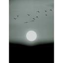 Livingwalls papier peint photo ARTist Winter Lights Winter