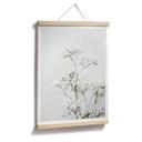 Plakat - Annie - Meadow