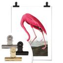Póster Flamenco rosa