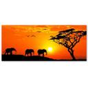 Canvasbillede, Panorama over savannen i Afrika
