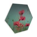 Hexagone - Placage bois de bouleau Delgado - Pastel de coquelicots