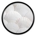 Plakat Shells