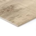 Houten Wanddecoratie bos bij het meer in beige mist - Ms Tiff