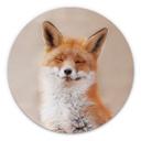 Tableau en alu-Dibond van Duijn - Renard content - Rond