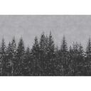 Livingwalls Fototapet Walls by Patel Black Forest 3