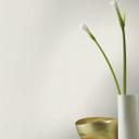 Rasch Vliesbehang Wallpaper