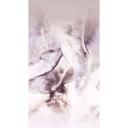 Tempest digital tapet i 1,5 m x 2,7 m Fashion for Walls 4 af Guido Maria Kretschmer