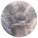 Fototapet - Rundt Bela - Vinterlandskab - vliesetapet/selvklæbende non-woven tapet