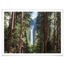 Plakat - Colombo - Waterfall forest