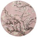 Vinilo decorativo van Gogh - Rosa en flor de almendro - Redondo