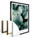 Plakat - Calathea Orbifolia