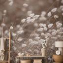 Papel pintado Delicadas hierbas a la luz del otoño - Collins
