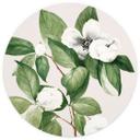 Botanisk fototapet med illustration af en falsk kamelia - Walcott - Round - vliesetapet/selvklæbende
