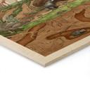 Cuadro de madera objeto oculto animales del bosque - Kikki Belle
