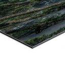 Vægmaleri af fyrreskov i Huang Shan-bjergene - NingYun Ye - Panorama – print på aluminium