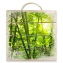 Cuadro de madera Sol en un bosque de bambú - 40x41,5 cm