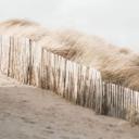 Fotomural Costa - Paisaje de dunas en el Mar del Norte - Annie