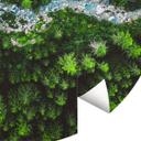 Fototapet - Rundt Murko - Moder Natur - vliesetapet/selvklæbende non-woven tapet