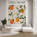Fotomural boho de naranjos - Citrus Sinensis - Tunaboylu