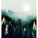 Fototapet SpaceFrog Designs - Misty Forest