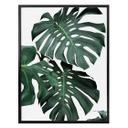 Plakat - Sisi & Seb - Monstera
