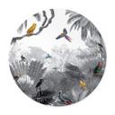 Póster Kikki Belle - Aves tropicales blanco y negro - Redondo