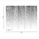 BirchForest1 birkeskov tapet i gråhvid - non-woven tapet Designwalls 2 - 2,55 x 3,5 m