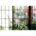 Livingwalls Fototapet Walls by Patel 2 orchard 2