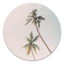 Tableau sur alu-Dibond rond Sisi & Seb - Palmiers au vent