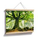 Póster Kiciak - Bosque de cuento de hadas