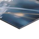 Billede Mousserende mælkebøtter - Treechild – print på aluminium (Alu-Dibond)