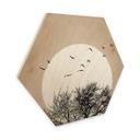 Hexagon Hout Kubistika - Dreaming of Winter