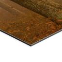 Billede af tåge og lys i en efterårsskov - Maier – print på aluminium (Alu-Dibond)