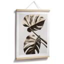 Póster 1X Studio - Golden Monstera