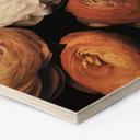 Hexagone - Bois FiguraNYC Photographie - Renoncule