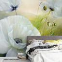 Papier peint photo Schmucker - Pavot blanc