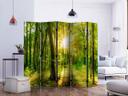 Paravent, Raumteiler freistehend, Trennwand - Forest Rays II, 5-teilig - einseitig bedruckt - 225x172 cm