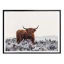 Plakat van den Helm - Highlander