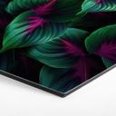 Hexagon Dibond Farverige jungleplanter - Paksoylu