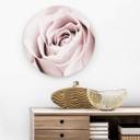 Tableau sur alu-Dibond 1X Studio - Rose Noble - Rond