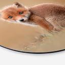 Wandcirkel van Duijn - Baby Fox
