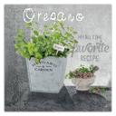 Canvasbillede, oregano køkkenurter